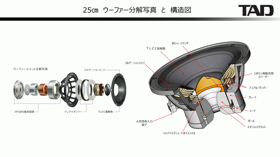 r1-wf